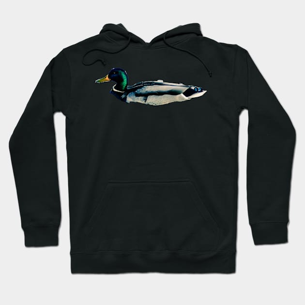 Ducky Hoodie by bywhacky